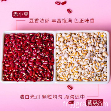 Produits agricoles en gros semence de poudre de haricot rouge coicis